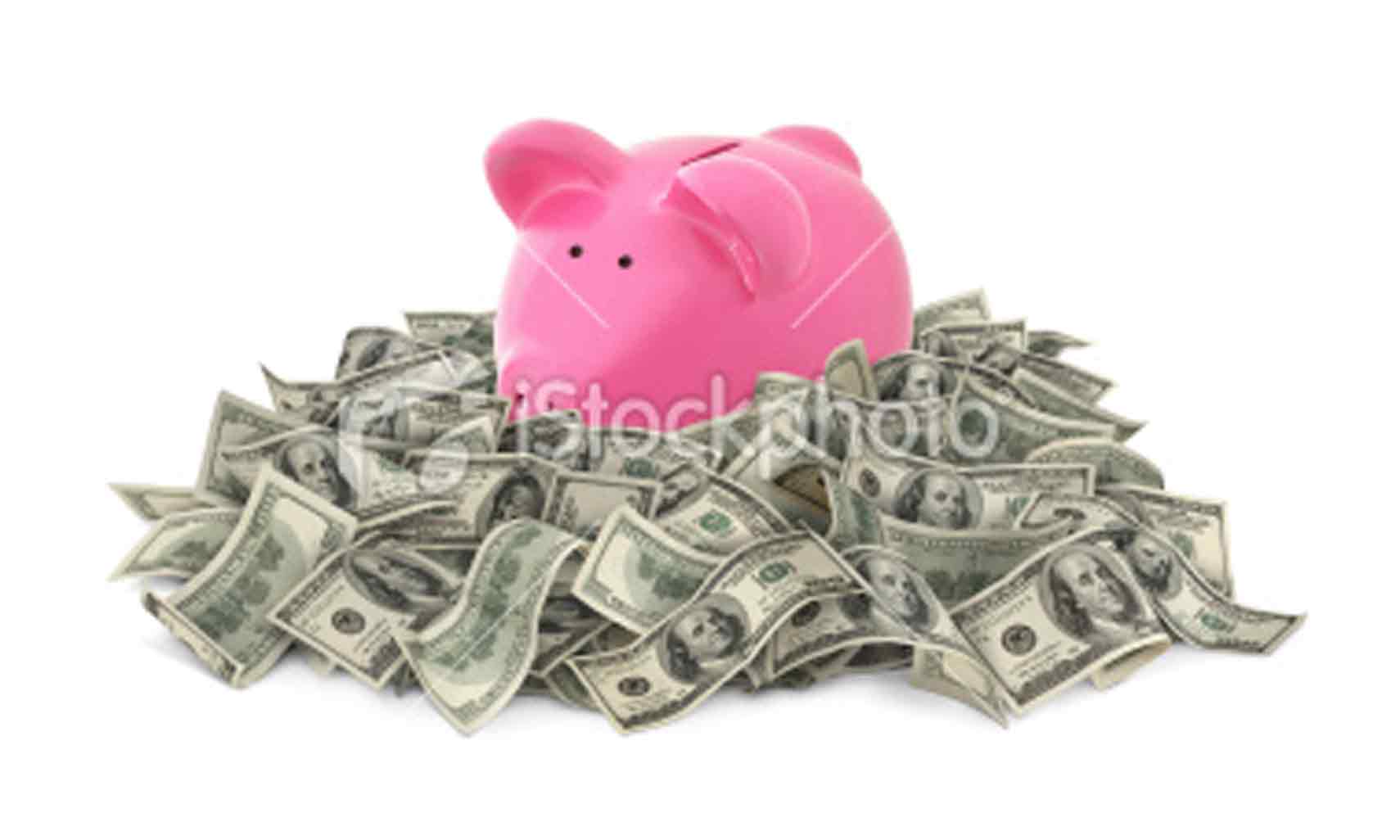 money piggy